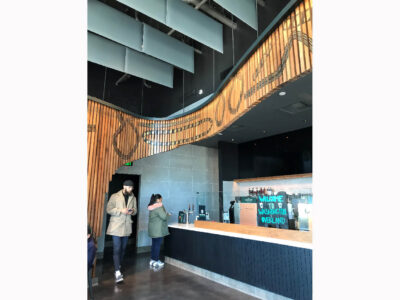 20 Baffle Hospitality Coffee Shop Ceiling (2)